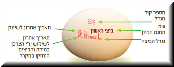 ביצה המציגה מיקום של מספר קוד ותאריך אחרון לשימוש