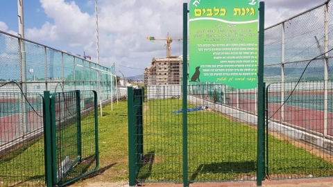 גינת_כלבים_3-1.jpg